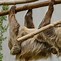 Sloth Adalh 1 Juta Berapa